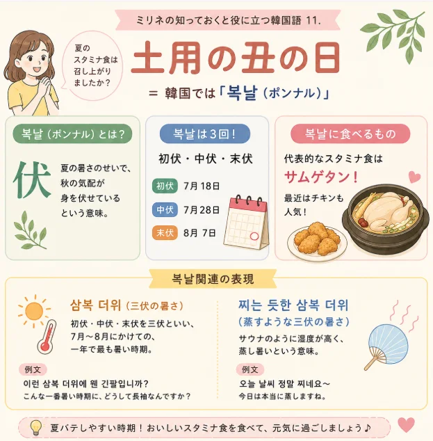 韓国の夏の「복날(ポンナル)」の意味や初伏・中伏・末伏、サムゲタンなどの食べ物と삼복 더위の関連表現を紹介する学習図解